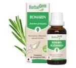 Romarin (Rosmarinus officinalis) j.p.